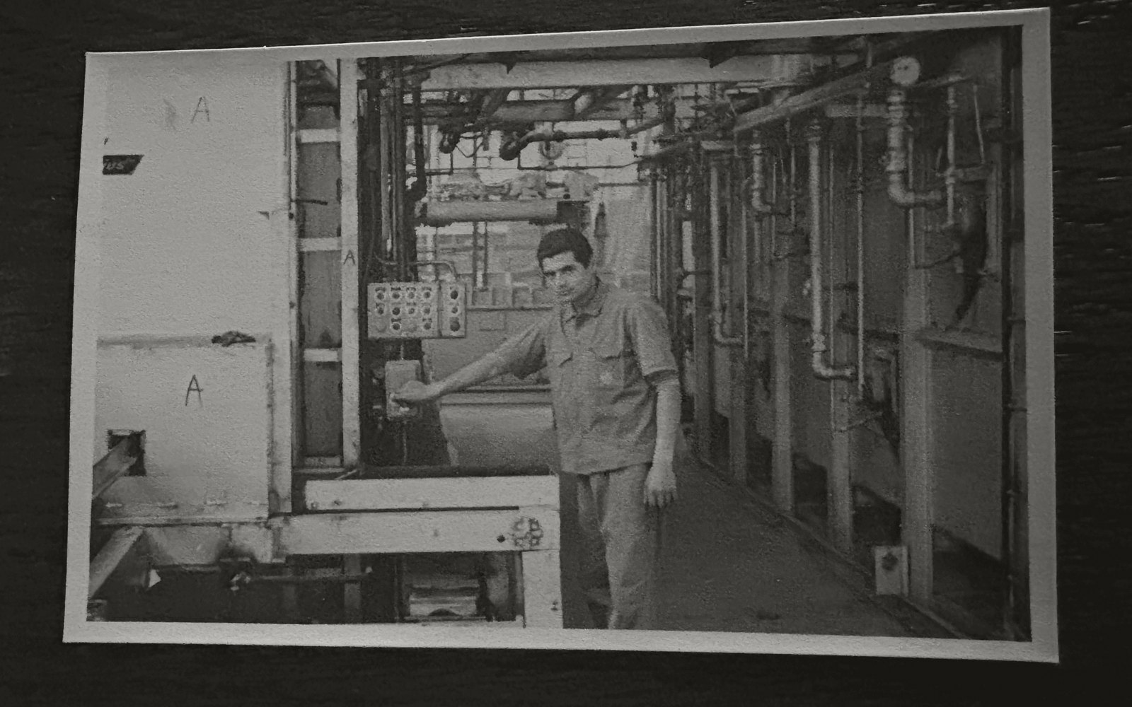 Early Cesario Group plant and fabrication archive