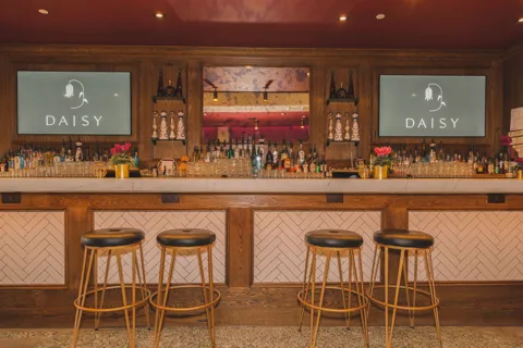 Daisy, project image 10