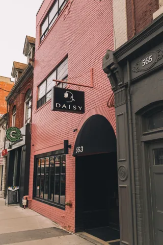 Daisy, project image 19